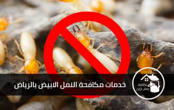 شركة مكافحة النمل الابيض بالرياض, افضل شركة مكافحة النمل الابيض بالرياض, مكافحة النمل الابيض بالرياض, شركة النمر لمكافحة النمل الابيض بالرياض