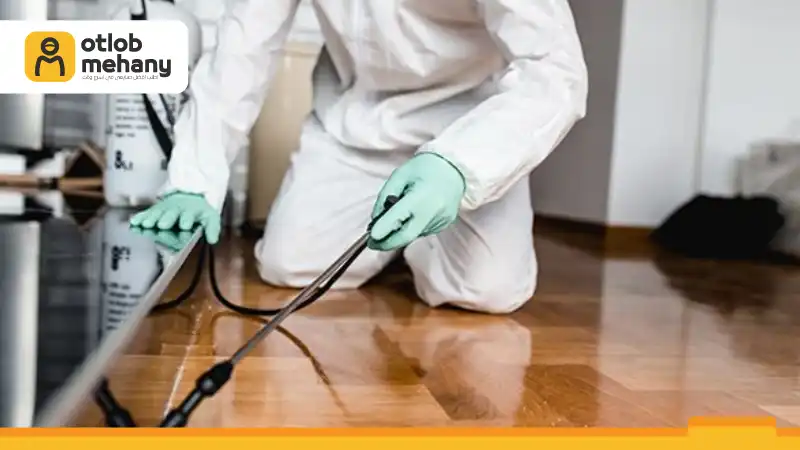 شركة مكافحة فئران بالقريات, مكافحة فئران بالقريات, مكافحة الفئران بالقريات