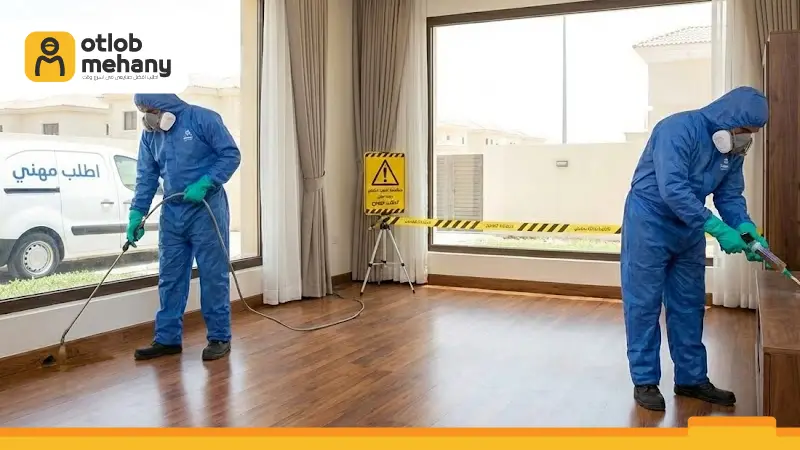 [صورة: Termite-control-company-in-Riyadh.webp]